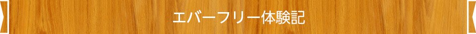 エバーフリー体験記